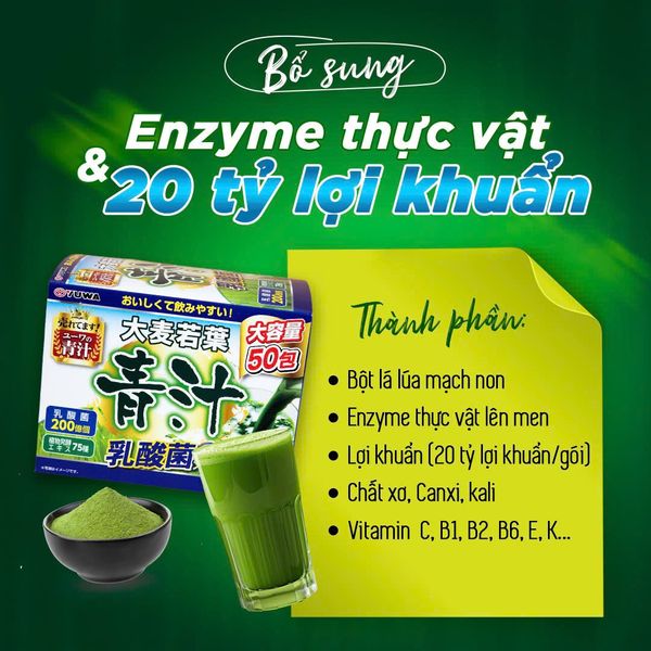 Bột Lúa Non Bổ Sung Lợi Khuẩn & Enzyme Tiêu Hóa YUWA - Hộp 50 Gói