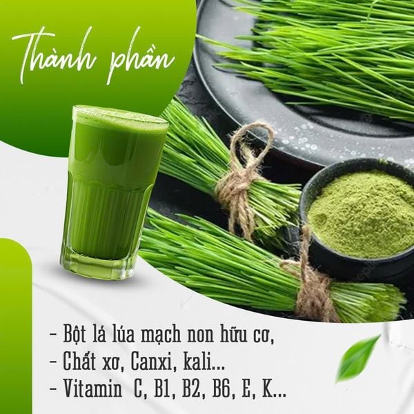 Bột Lúa Non Hữu Cơ YUWA - Bổ Sung Dinh Dưỡng & Chất Xơ Tự Nhiên - Hộp 14 Gói
