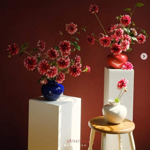 Dự án LC Home x Ribbon Florist 