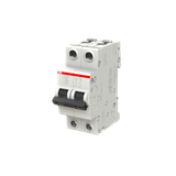  Cầu dao MCCB 2P 80A SY202-C80 