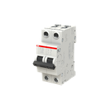  Cầu dao MCCB 2P 100A SY202-C100 