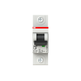 Cầu dao tự động MCB ABB 1P 80A 10KA (SH801-C80) 