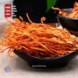  Nấm Đông Trùng Hạ Thảo 