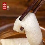  Nấm Trúc Sanh ( Không Độn ,Không Lá ) 