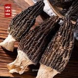  Nấm Bụng Dê 