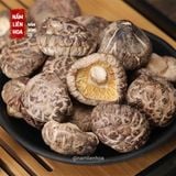  Nấm Đông Cô Bông 5cm 