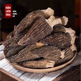  Nấm Bụng Dê 