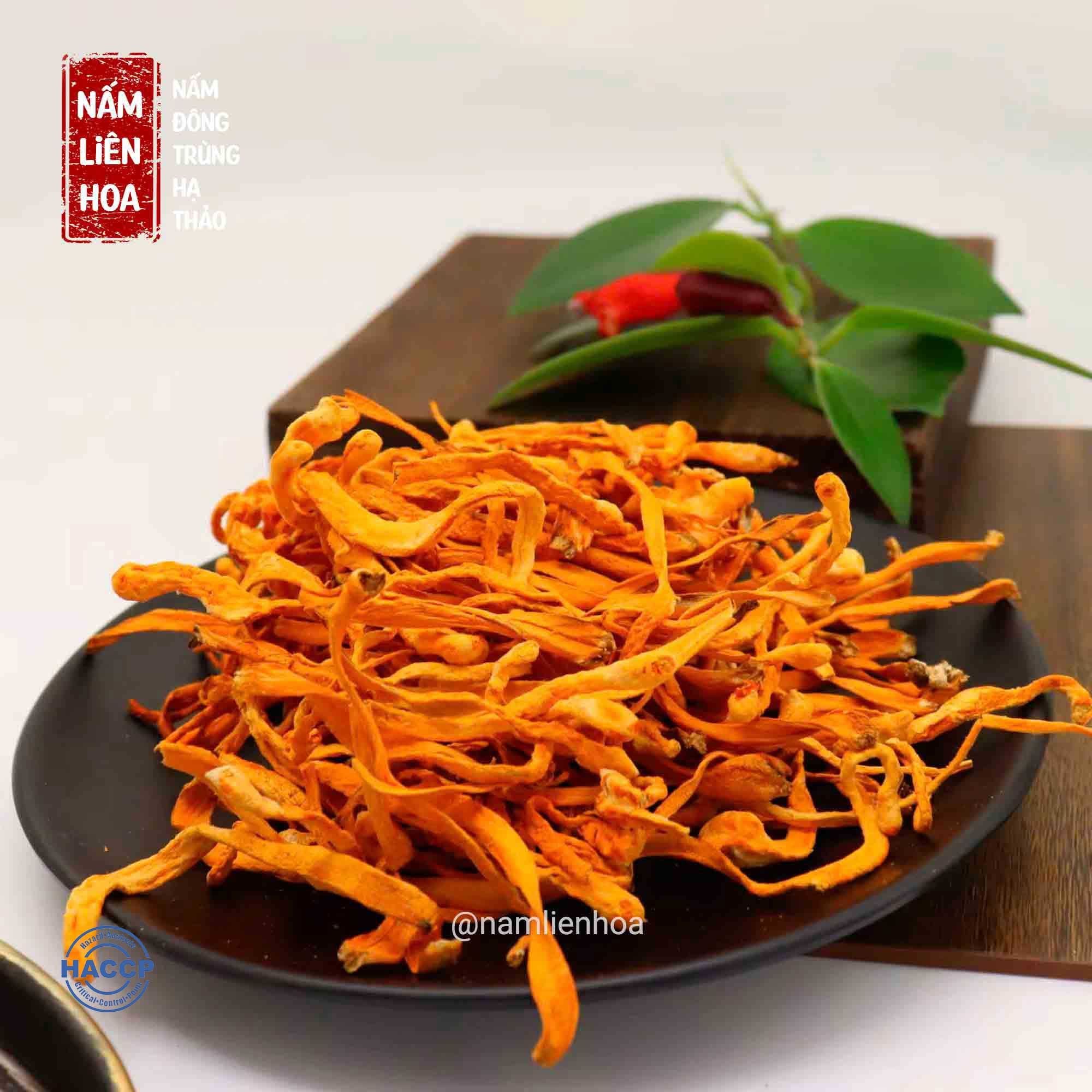  Nấm Đông Trùng Hạ Thảo 