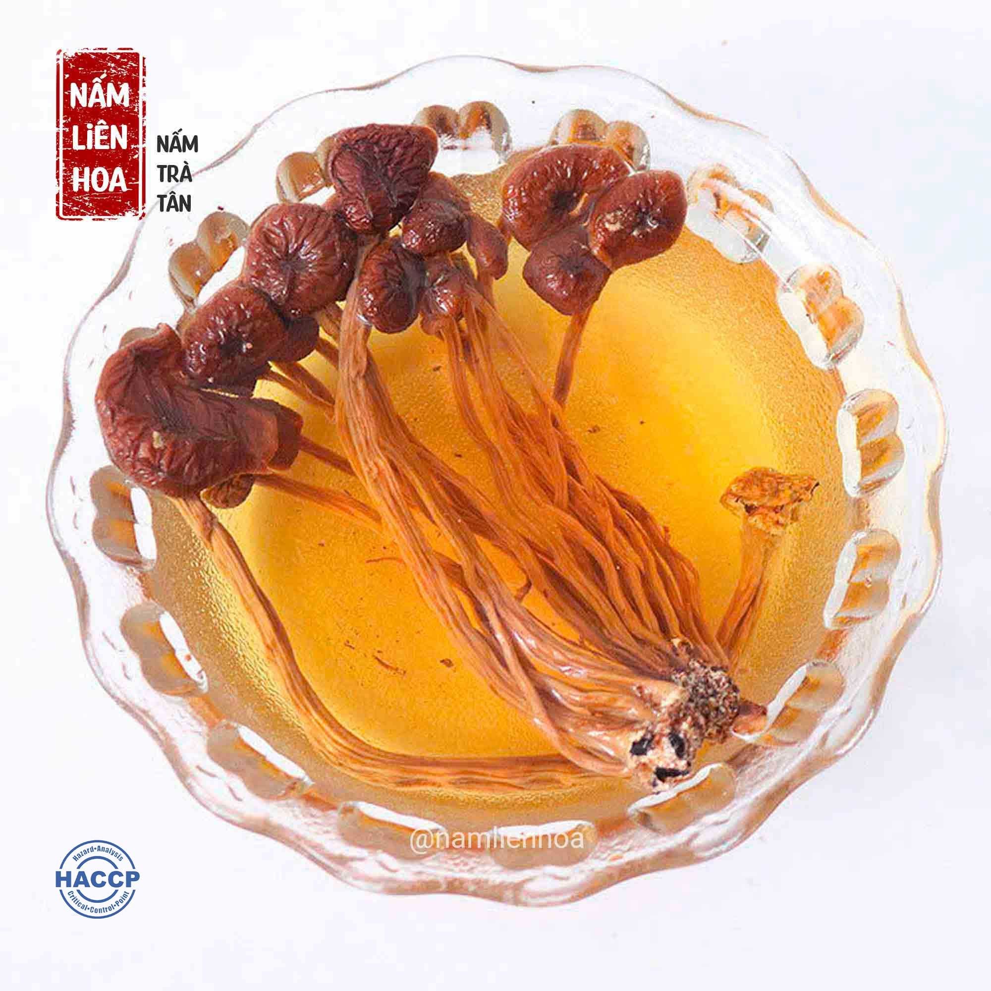  Nấm Trà Tân 