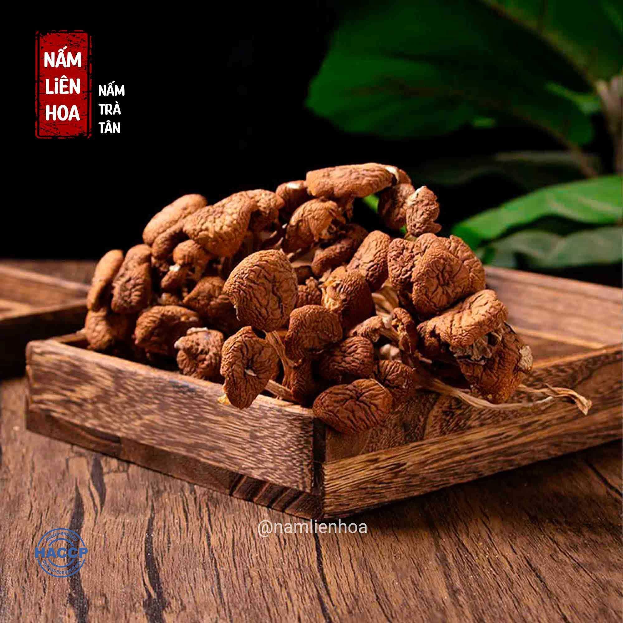  Nấm Trà Tân 