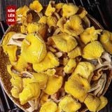 Nấm Mỡ Gà 