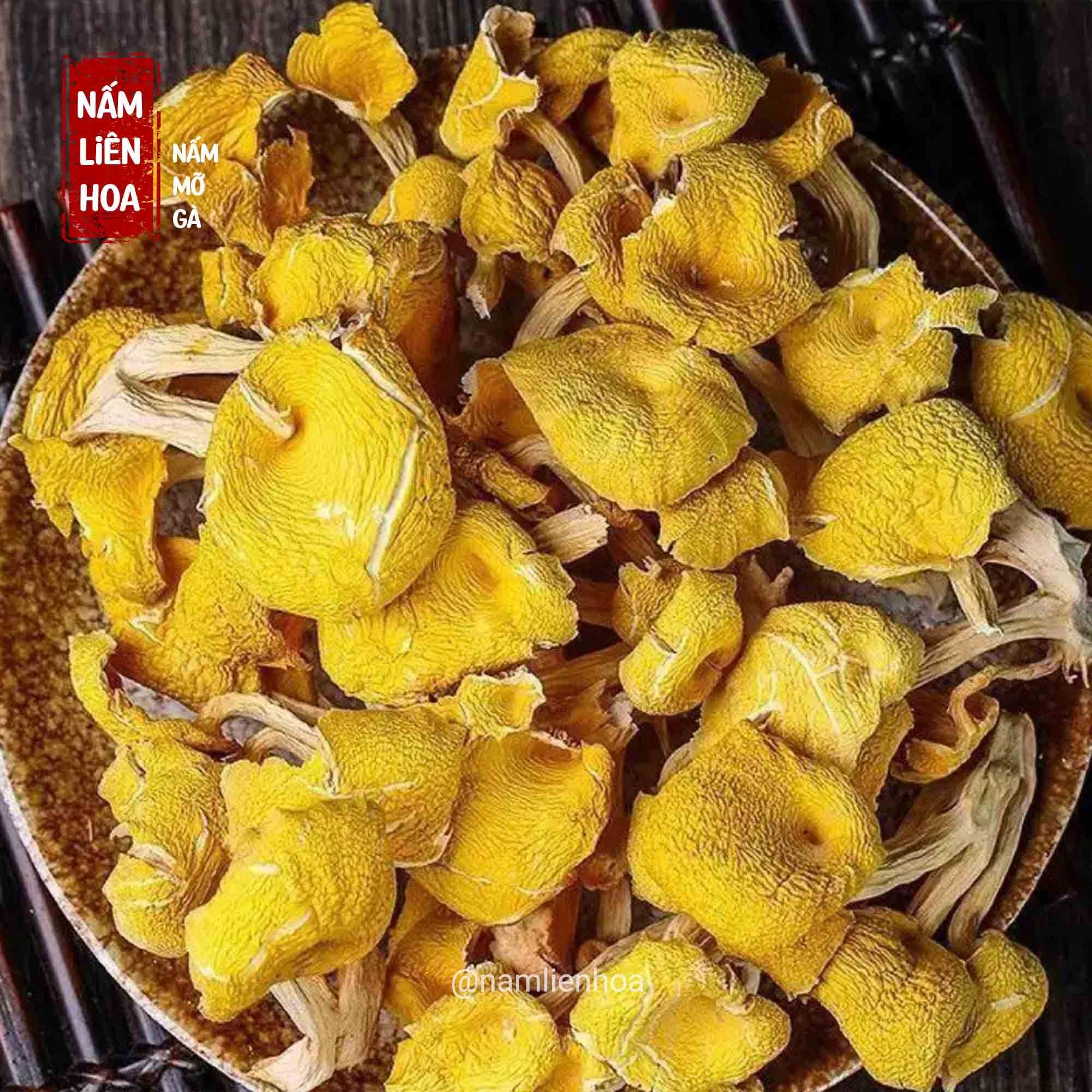  Nấm Mỡ Gà 