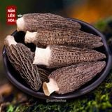  Nấm Bụng Dê 