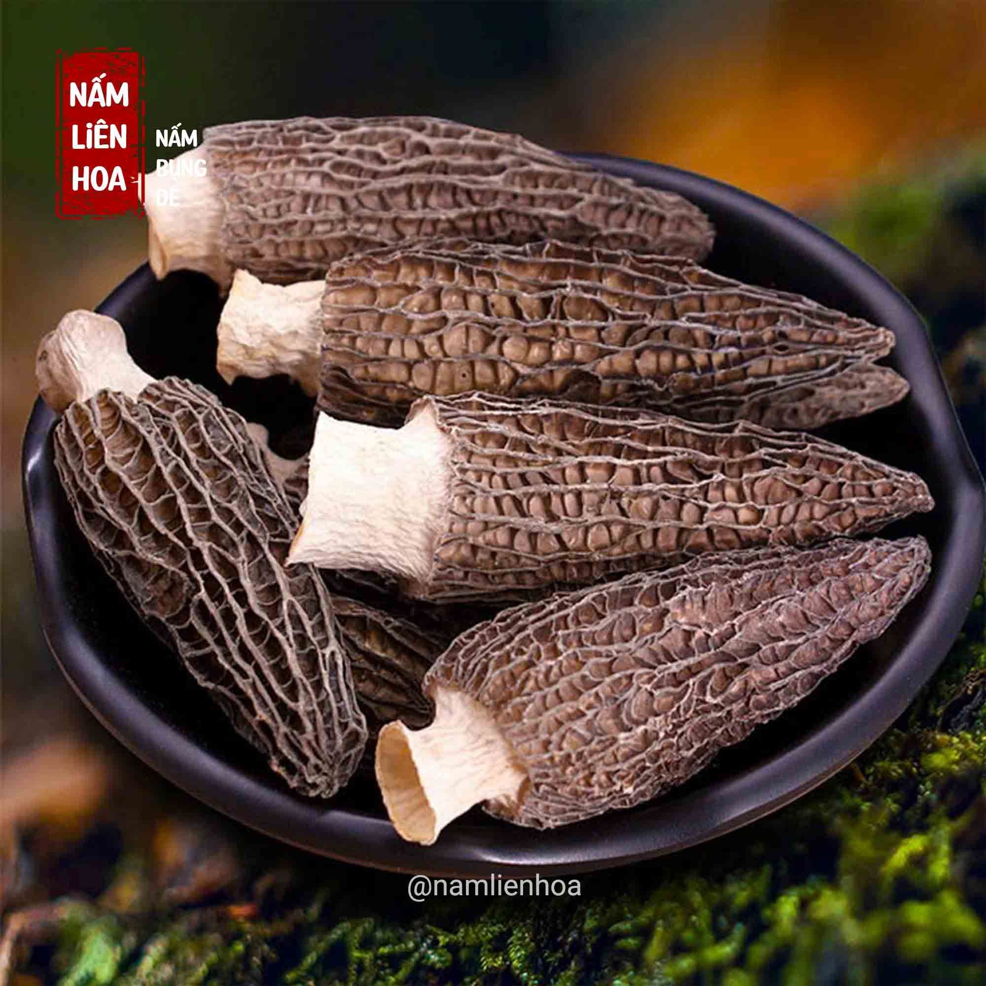  Nấm Bụng Dê 