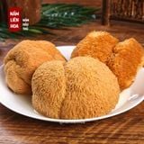  Nấm Hầu Thủ 