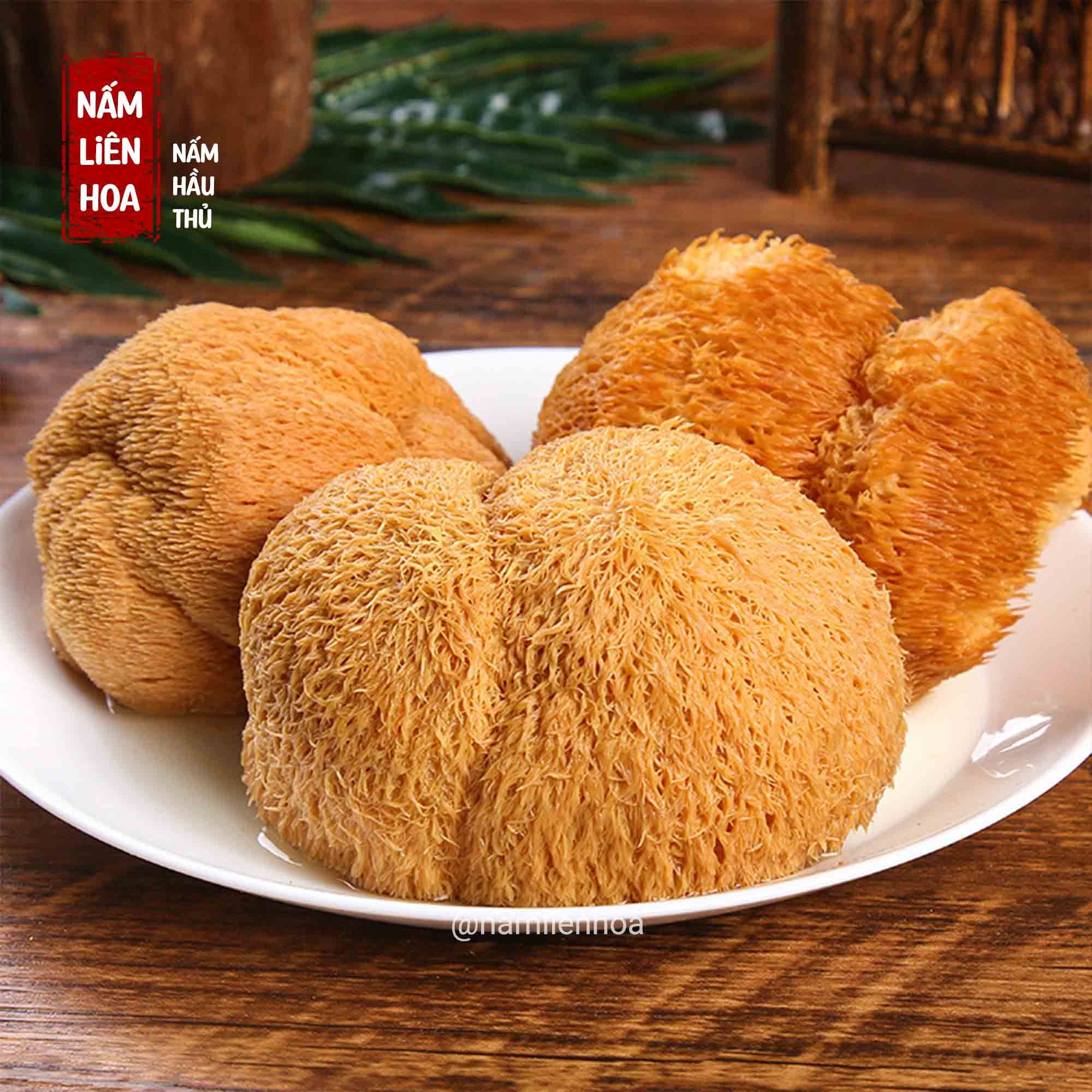  Nấm Hầu Thủ 