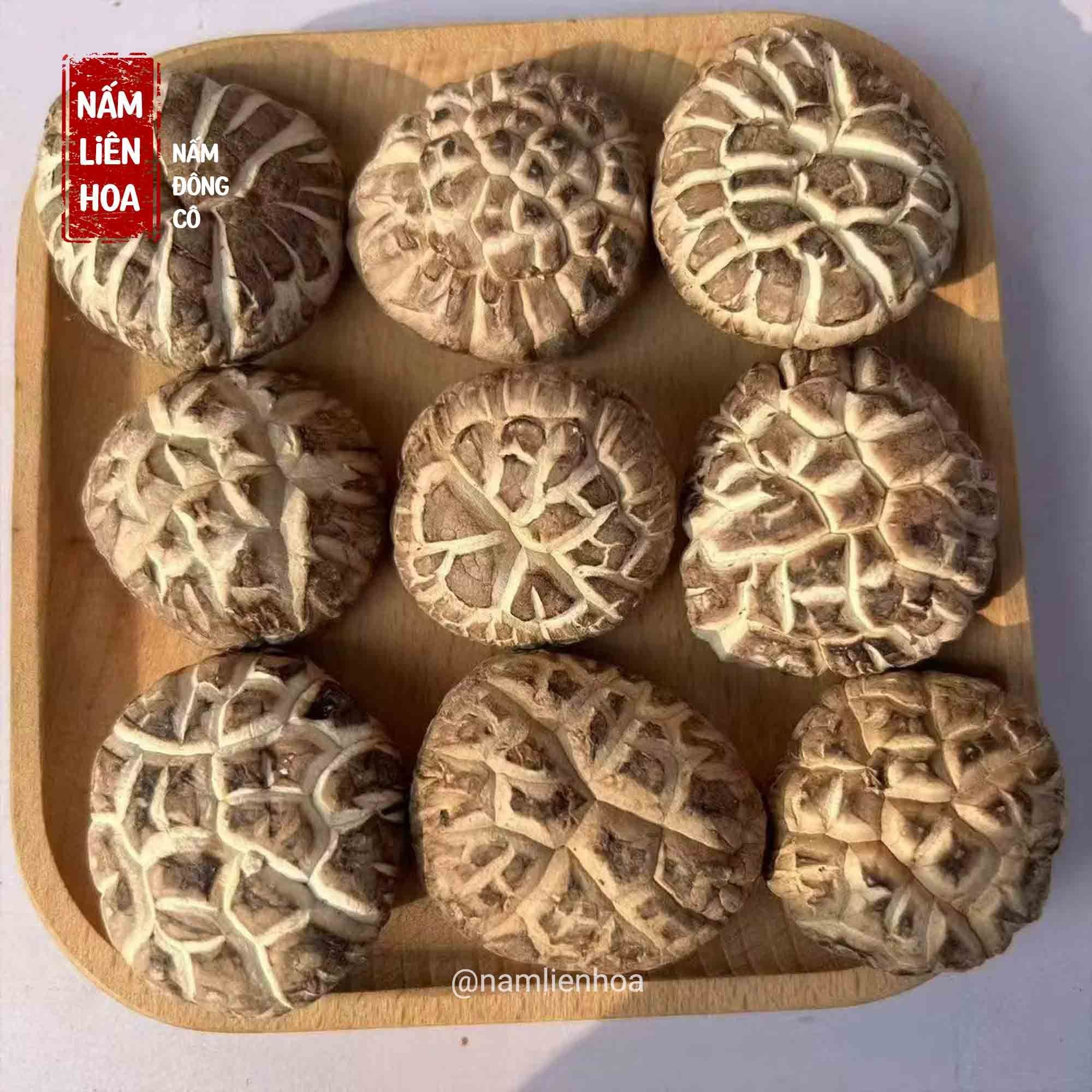  Nấm Đông Cô Bông 5cm 