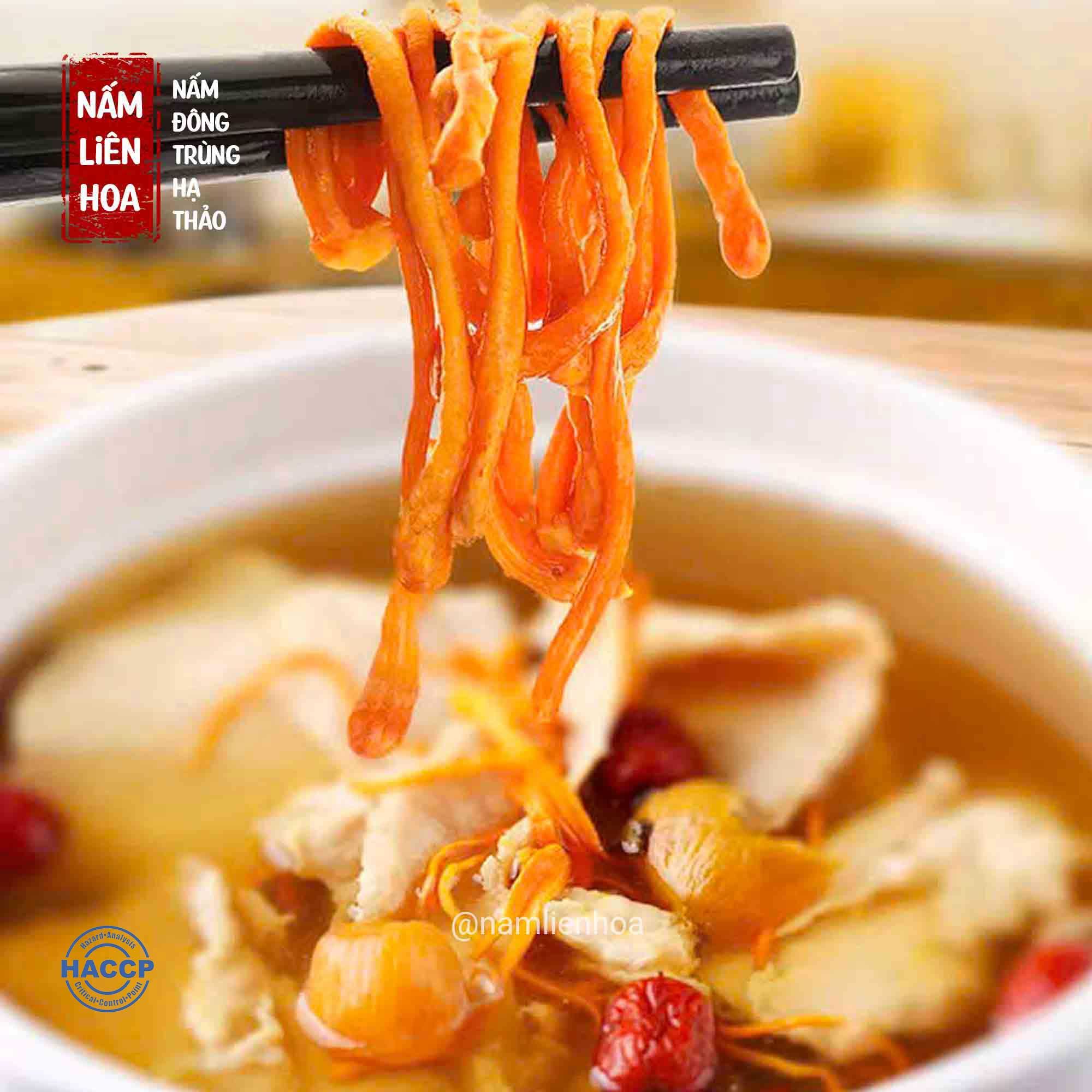  Nấm Đông Trùng Hạ Thảo 