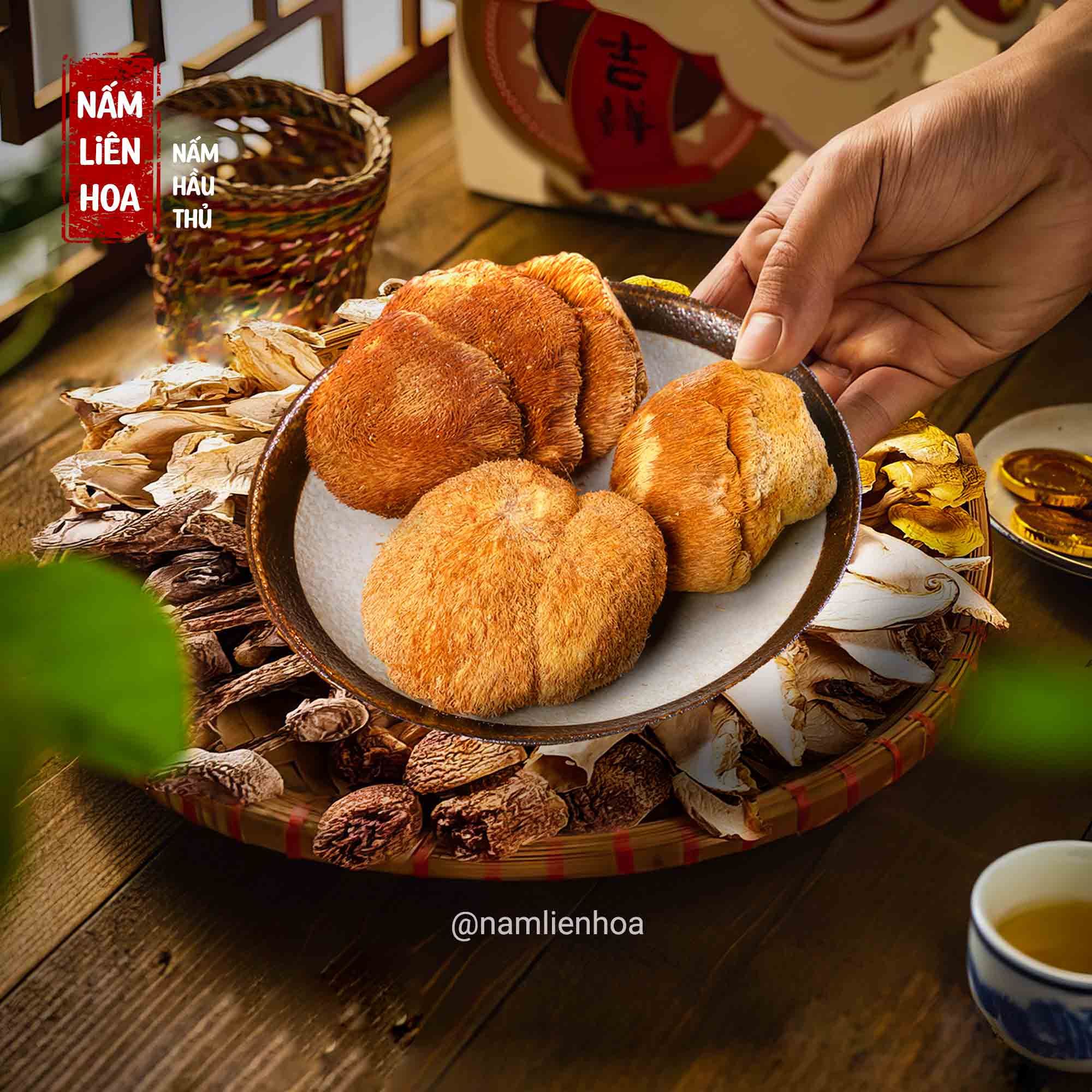  Nấm Hầu Thủ 