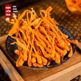  Nấm Đông Trùng Hạ Thảo 
