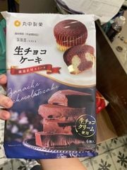 Bánh bông lan Ganache chocolate cake (6c)