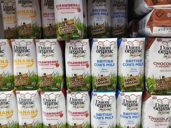 SỮA DAIONI ORGANIC BRITISH COWS MILK 3,5% FAT 200ML