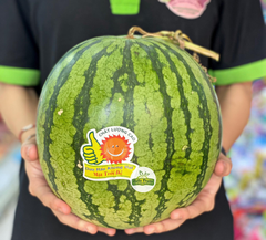 ​​​​​​​Dưa Hấu Đỏ Không Hạt