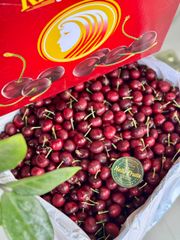 Cherry Mỹ Size 10
