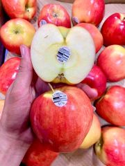 Táo Ambrosia Size 36