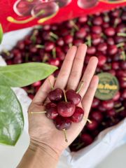 Cherry Mỹ Size 10