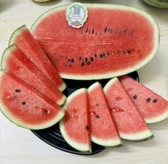 Dưa Hấu Hắc Mỹ Nhân