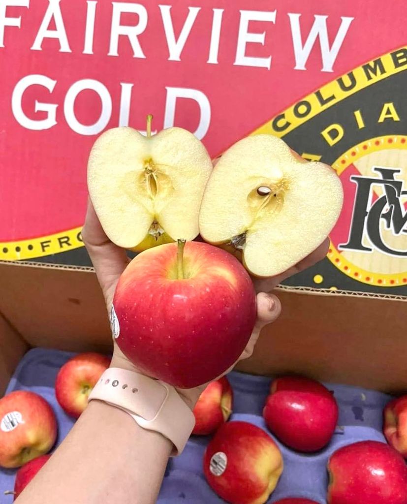 Táo Ambrosia Size 36