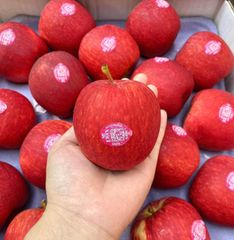 ​​​​​​​Táo Gem New Zealand