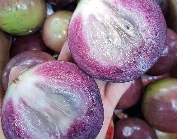 Vú Sữa Lò Rèn Tím