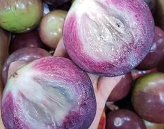 Vú Sữa Lò Rèn Tím