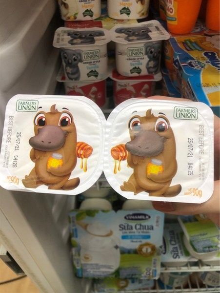 Sữa chua FARMERS UNION vị mật ong (90g)
