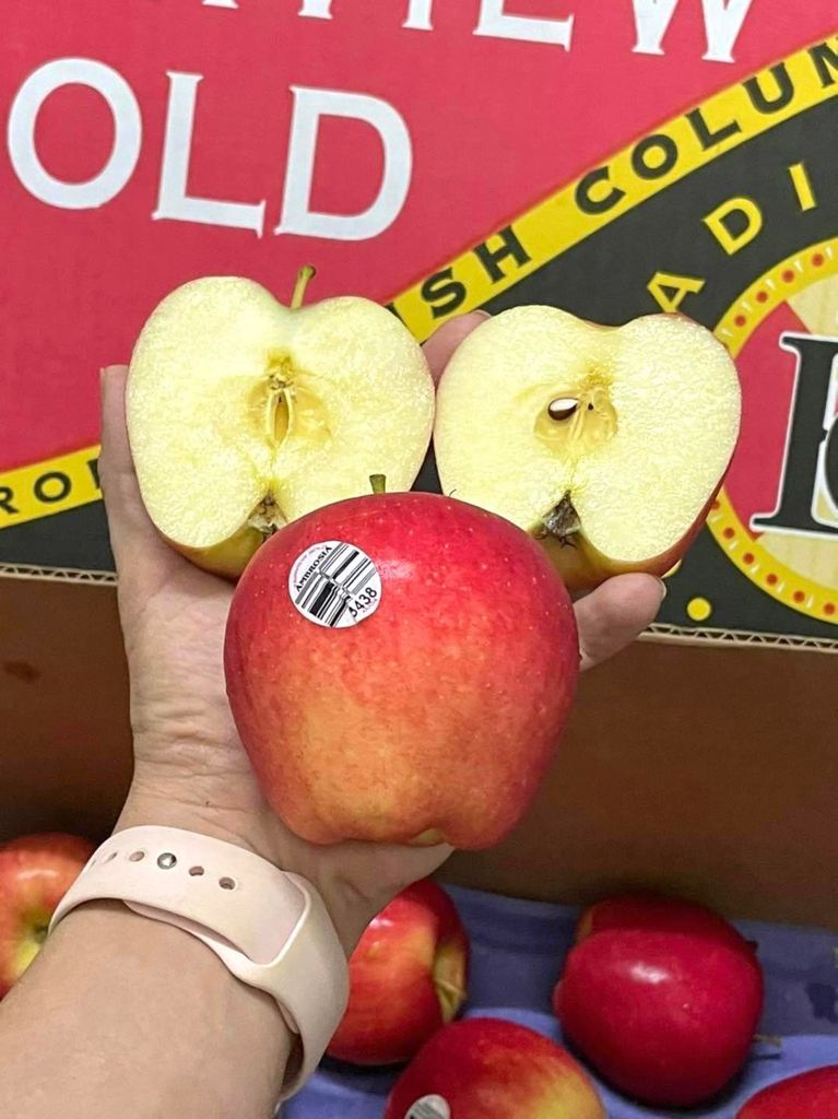 Táo Ambrosia Size 36