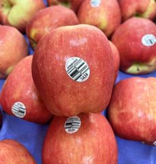 Táo Ambrosia Size 36