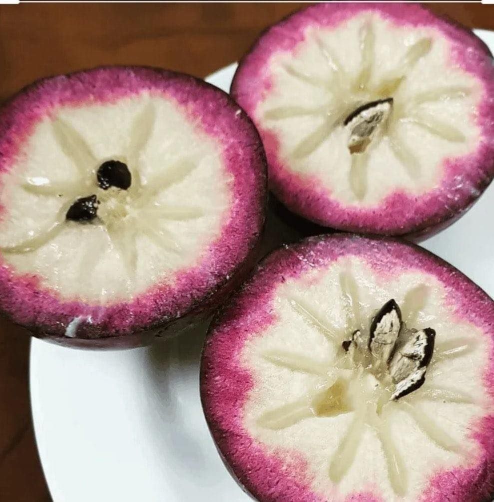 Vú Sữa Lò Rèn Tím