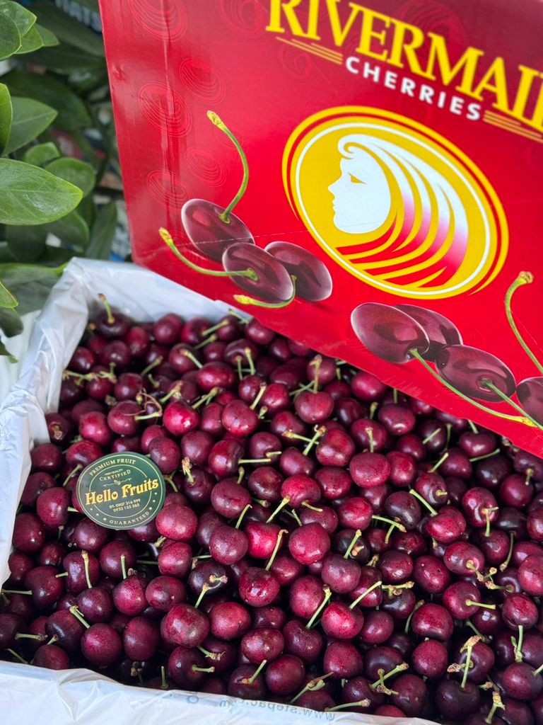 Cherry Mỹ Size 10