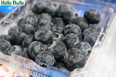 Blueberry Peru - Việt Quất Peru
