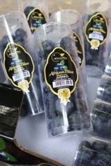 Blue Maroc Ống (200g)