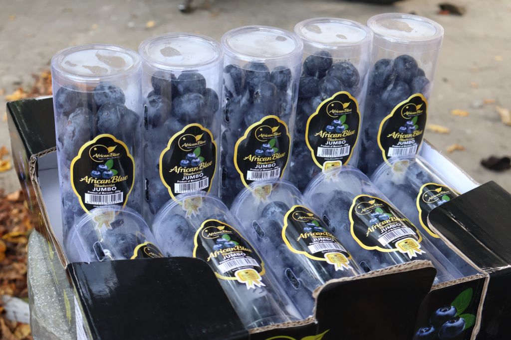 Blue Maroc Ống (200g)