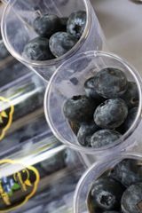 Blue Maroc Ống (200g)