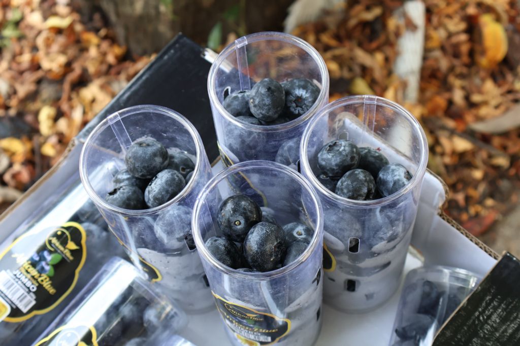 Blue Maroc Ống (200g)