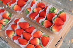 Dâu Greenvil (330g)