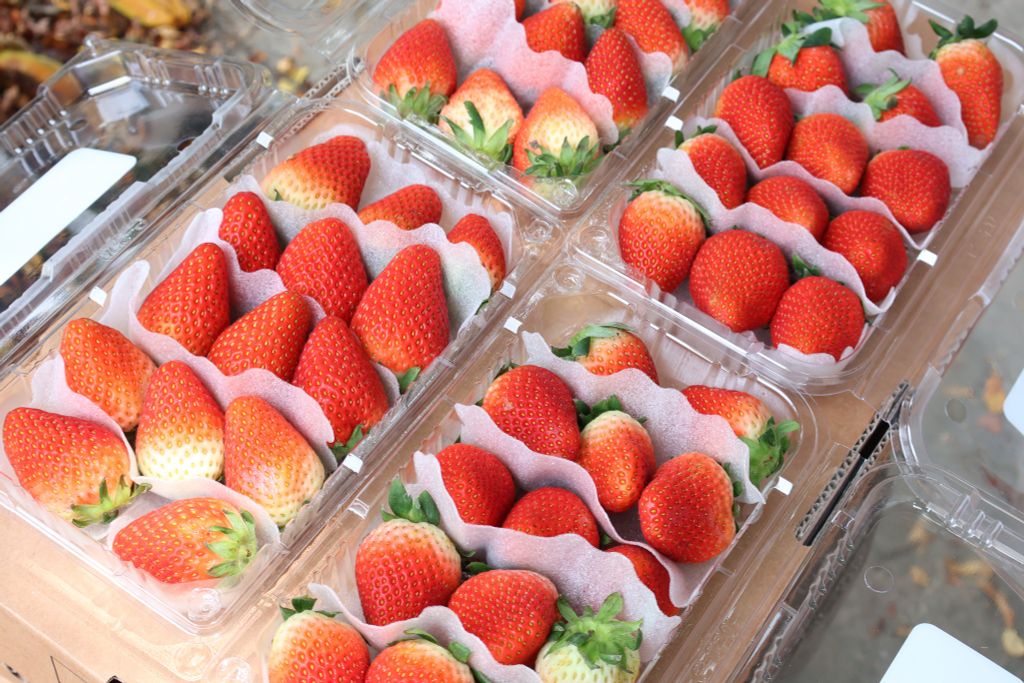 Dâu Greenvil (330g)