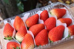 Dâu Greenvil (330g)