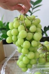 Nho Xanh Sweet