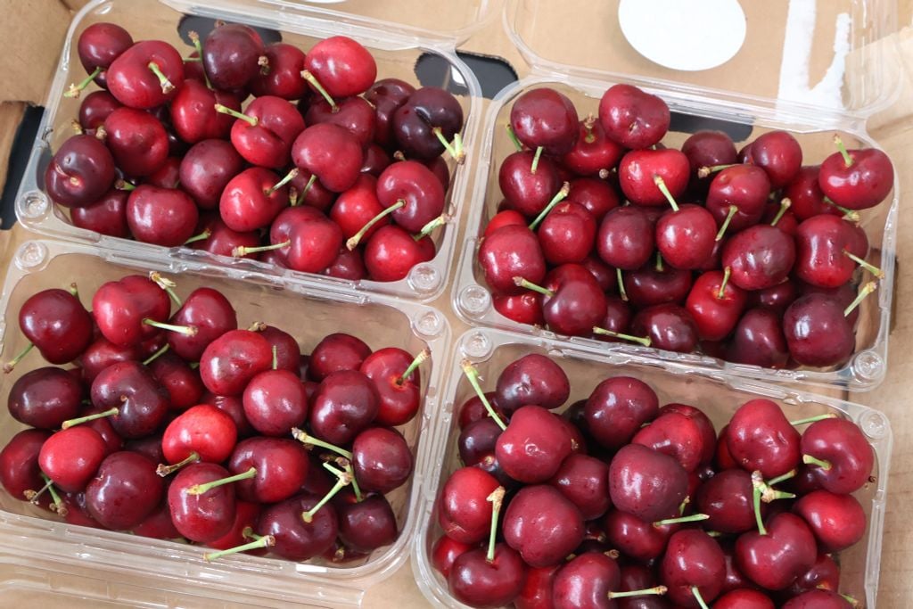 Cherry Mỹ Size 9